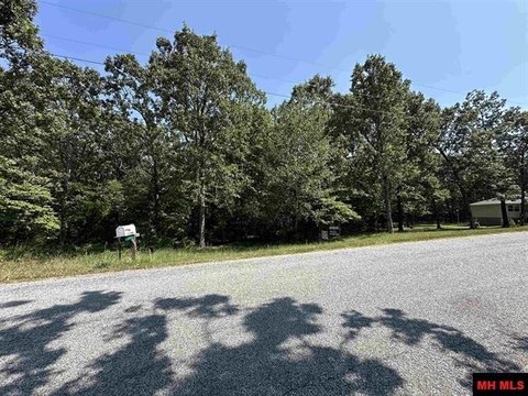 Wooded Lot Near Mountain Home