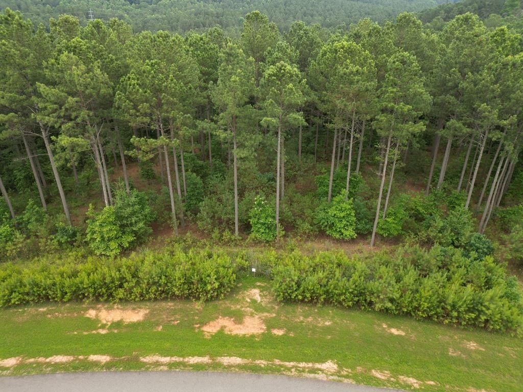 Blairsville, GA Vacant Lot