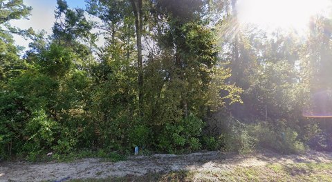 LAND - Crawfordville, FL