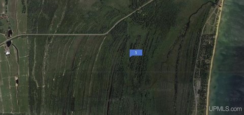 Recreational Land Near Lake Linden