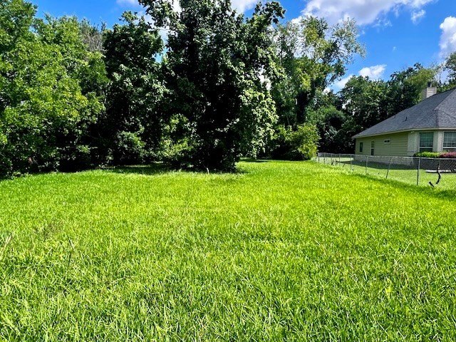 Picture 3