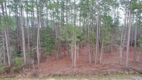 Land, Milton, FL