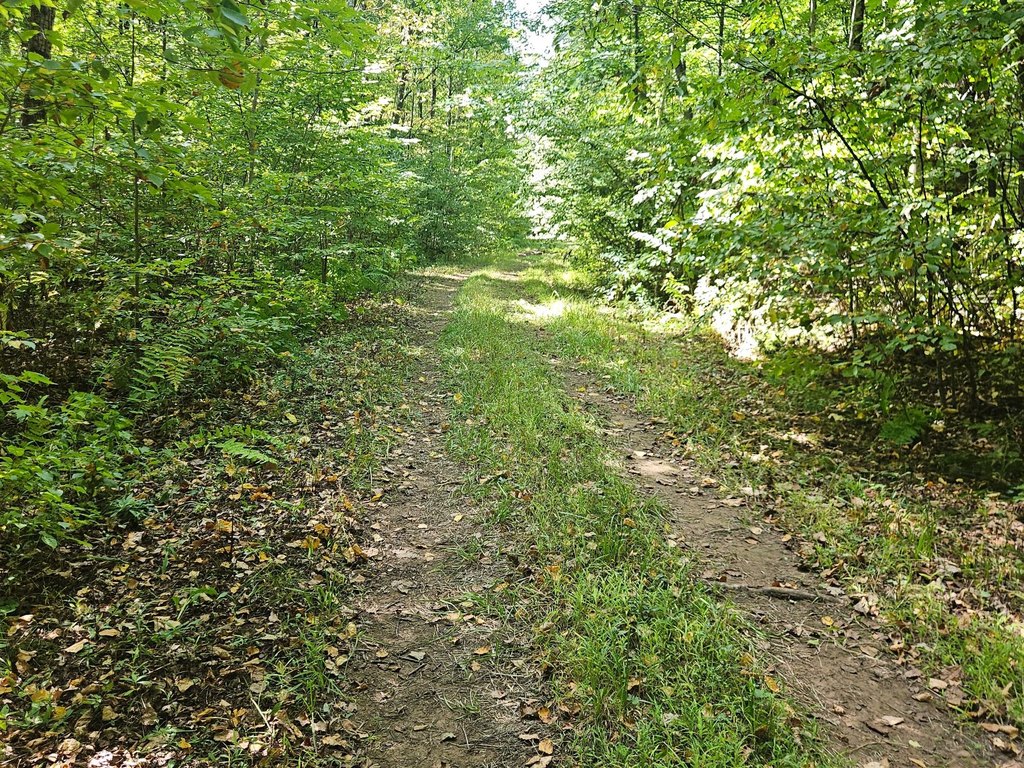 Picture 5