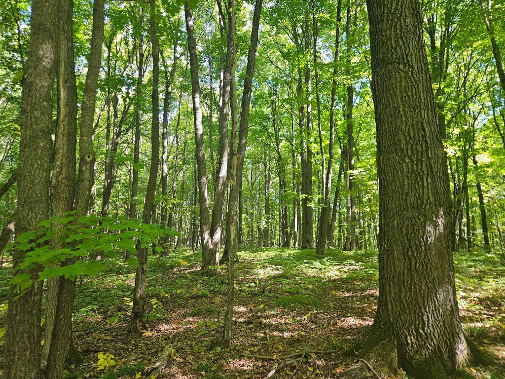 Picture 3