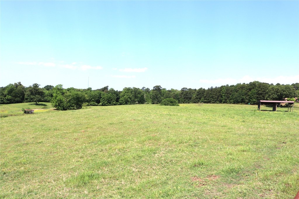 Picture 14
