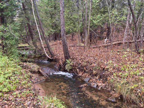 Wooded Land with Brook Frontage