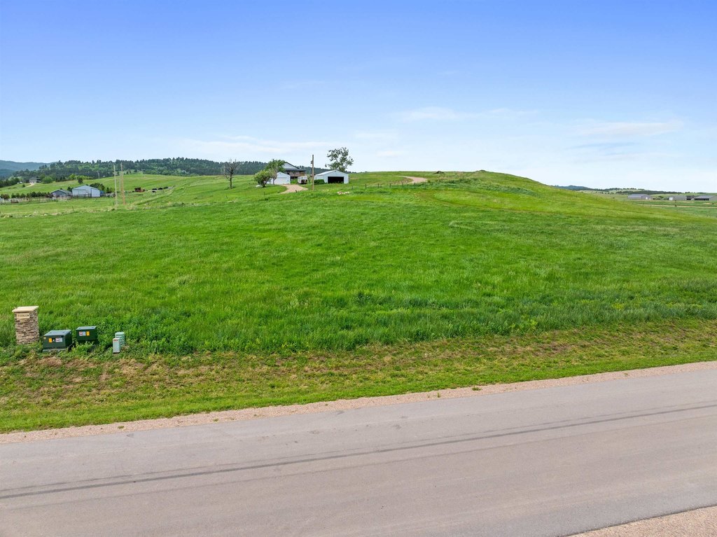 Picture 23