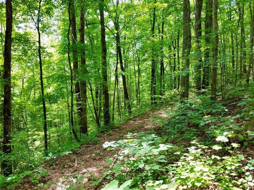 Bryson City Land For Sale