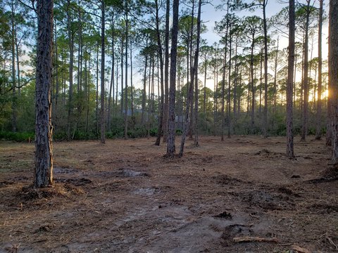 Spacious Lot in Cross Creek