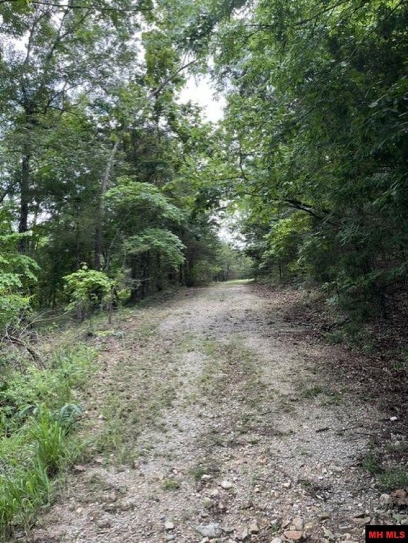 Picture 4