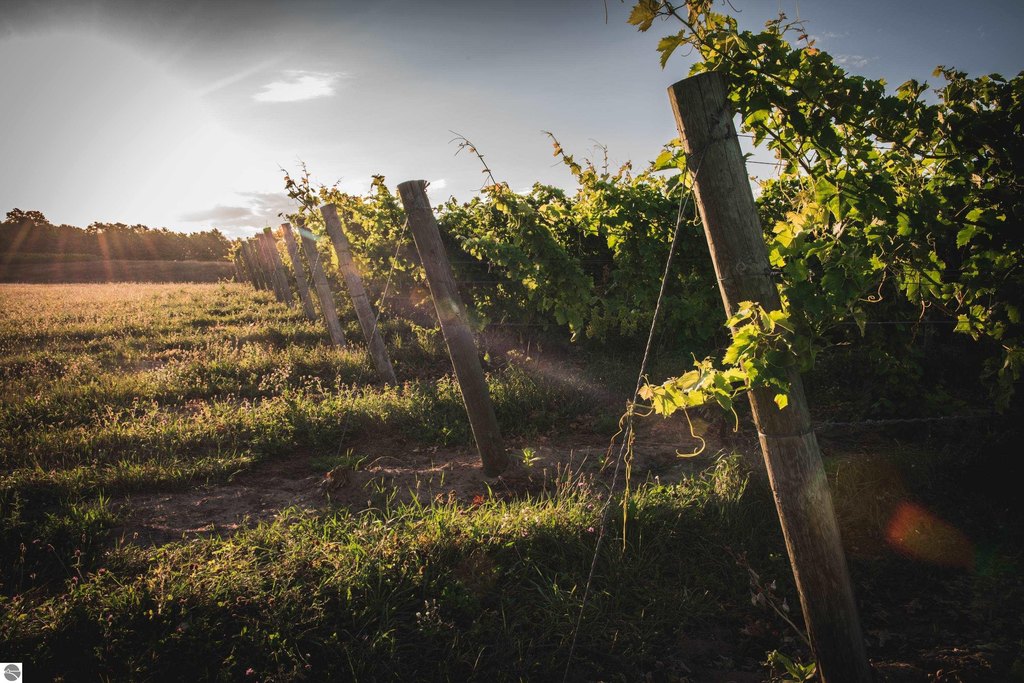 Picture 46