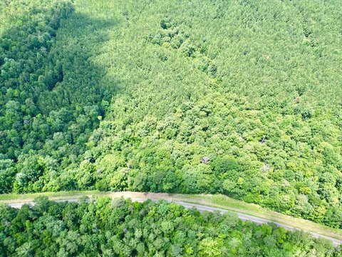 Greenville Homesite in Rural Setting