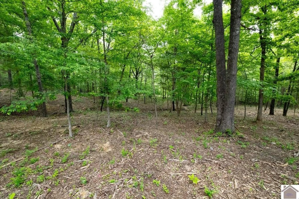 Picture 13