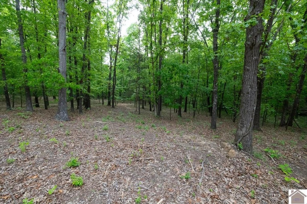 Picture 24