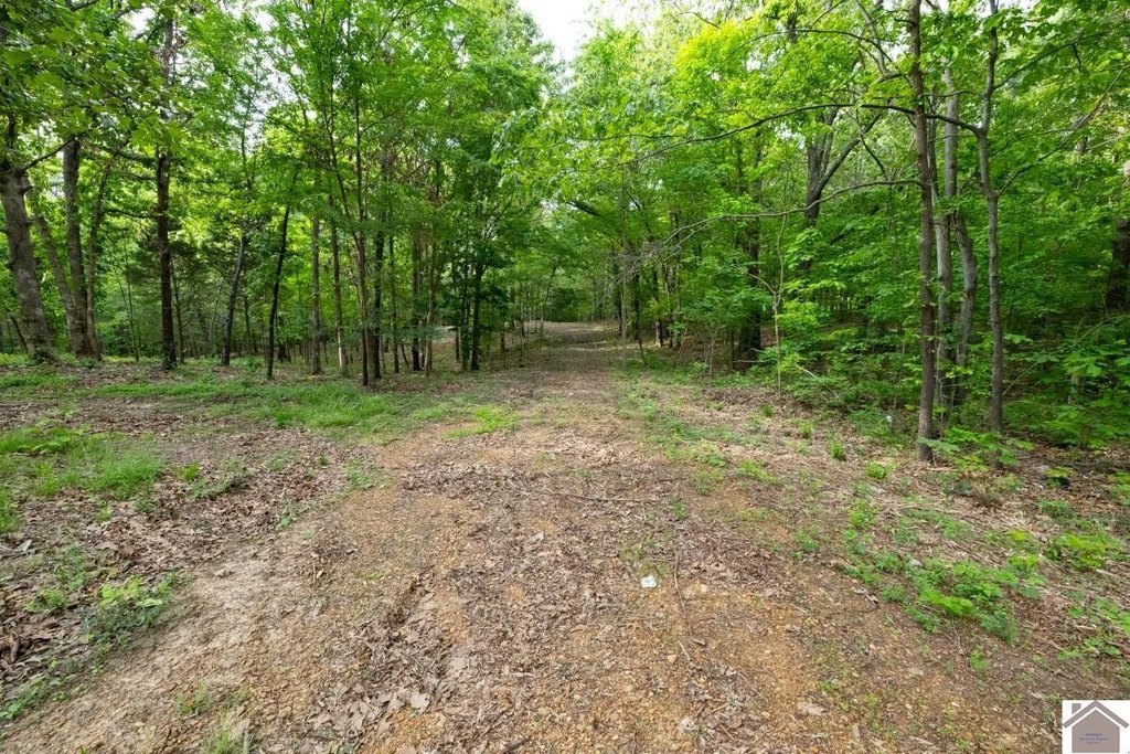 Picture 30