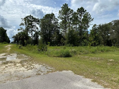Residential Acreage Lot in R1
