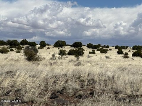 Land in Concho, Arizona