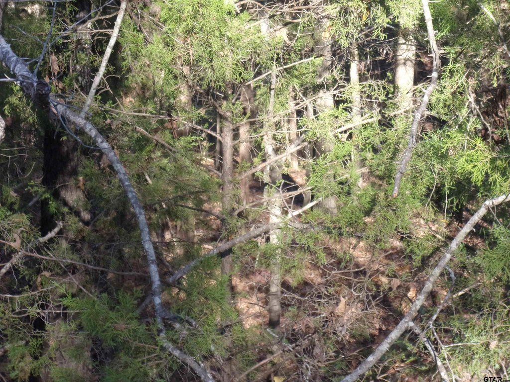 Picture 7