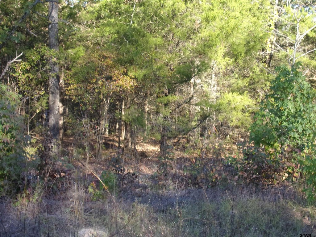 Picture 4
