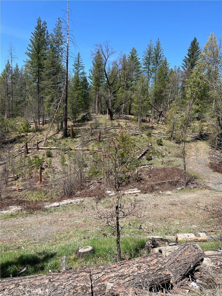 Coulterville Land/Lot For Sale