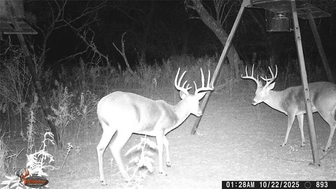 Hunting Ranch Near Brownwood