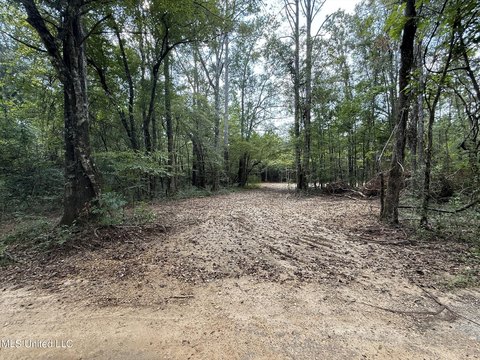 Land in Lincoln County, MS