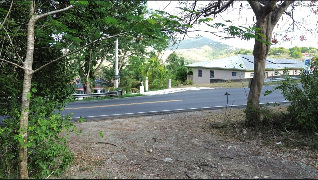 Picture 6