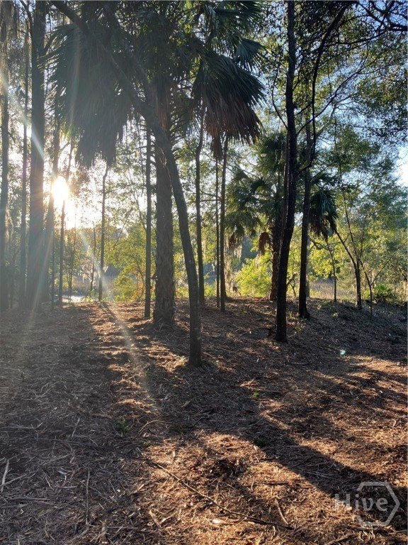 Cleared Lot in Baywood Plantation