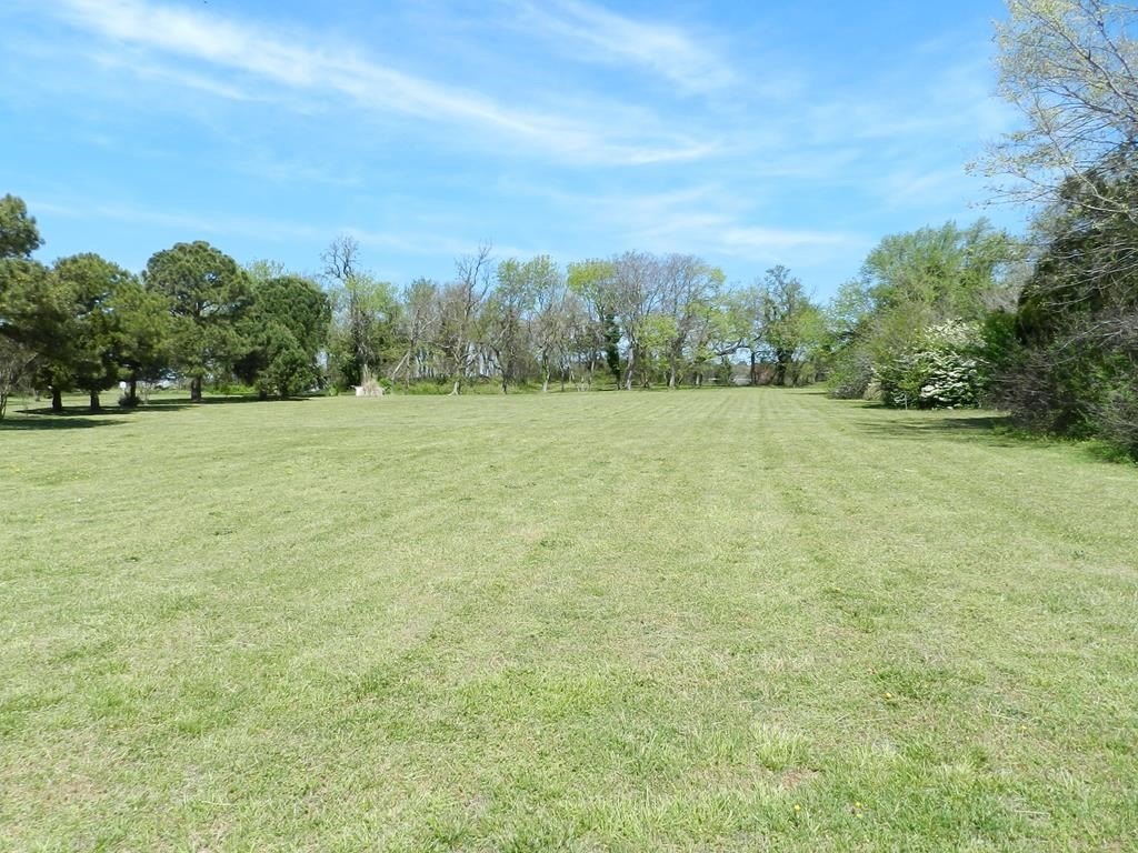 Picture 6
