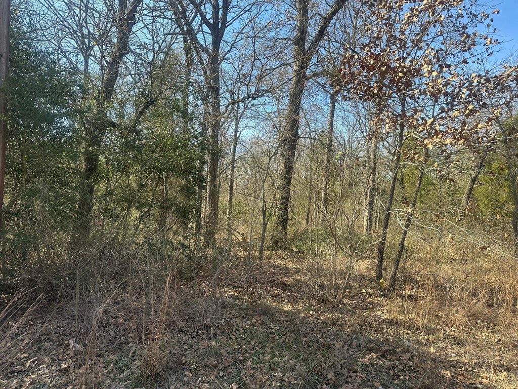 Picture 2
