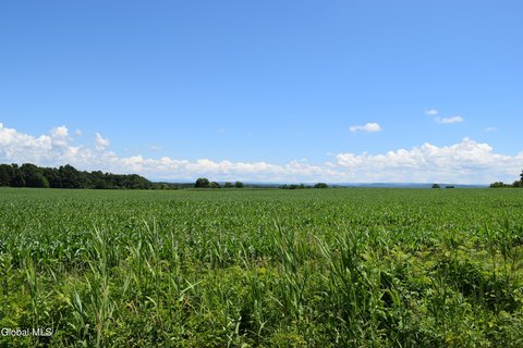 Developable Mixed-Use Farmland Parcel