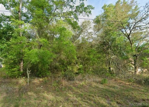Land, Dunnellon, FL