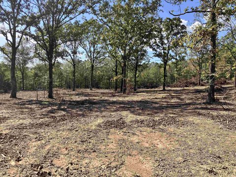 Vacant Land, Austin, AR