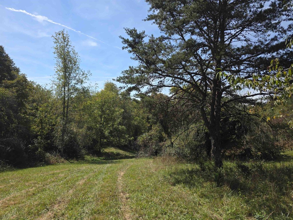 Picture 25