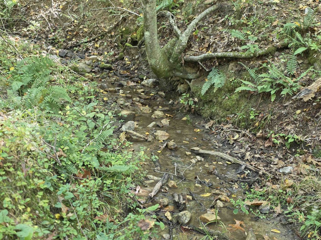 Picture 11