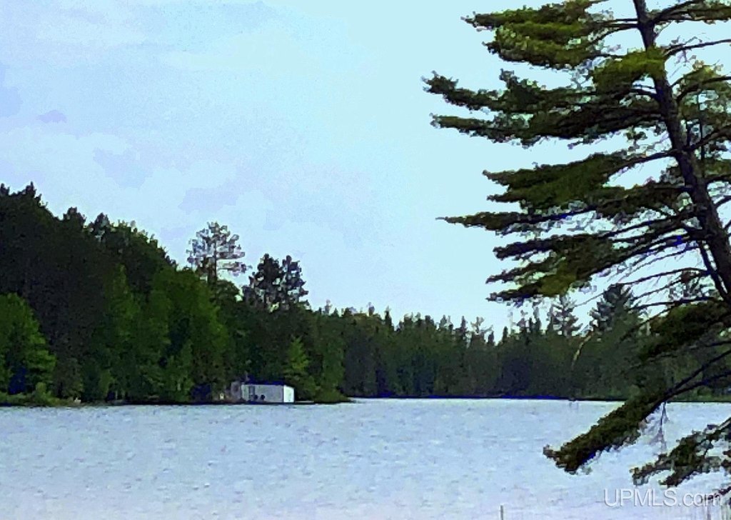 Picture 8