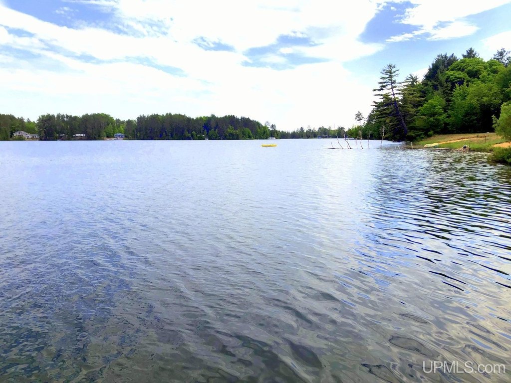 Picture 3