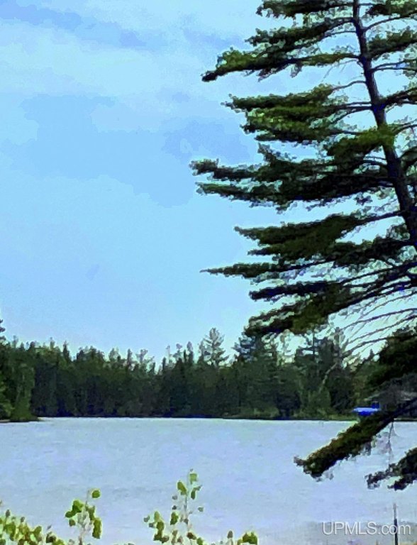 Picture 27