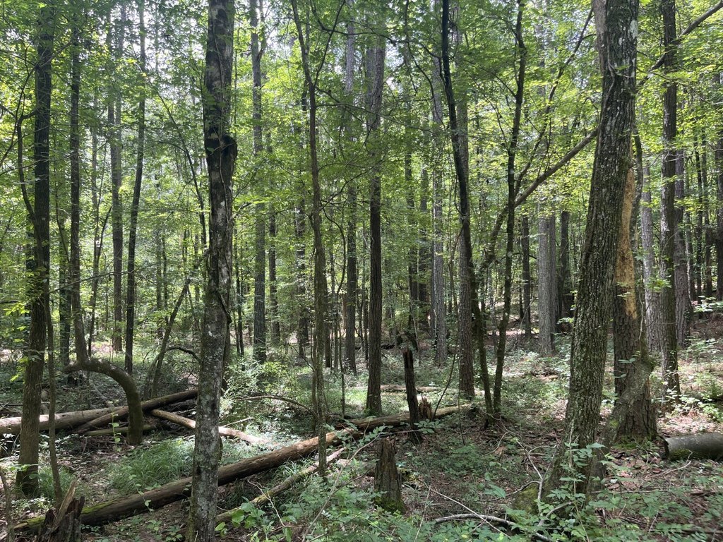 Picture 46