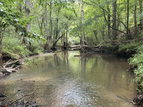 Recreational Timber Land with Creek Access