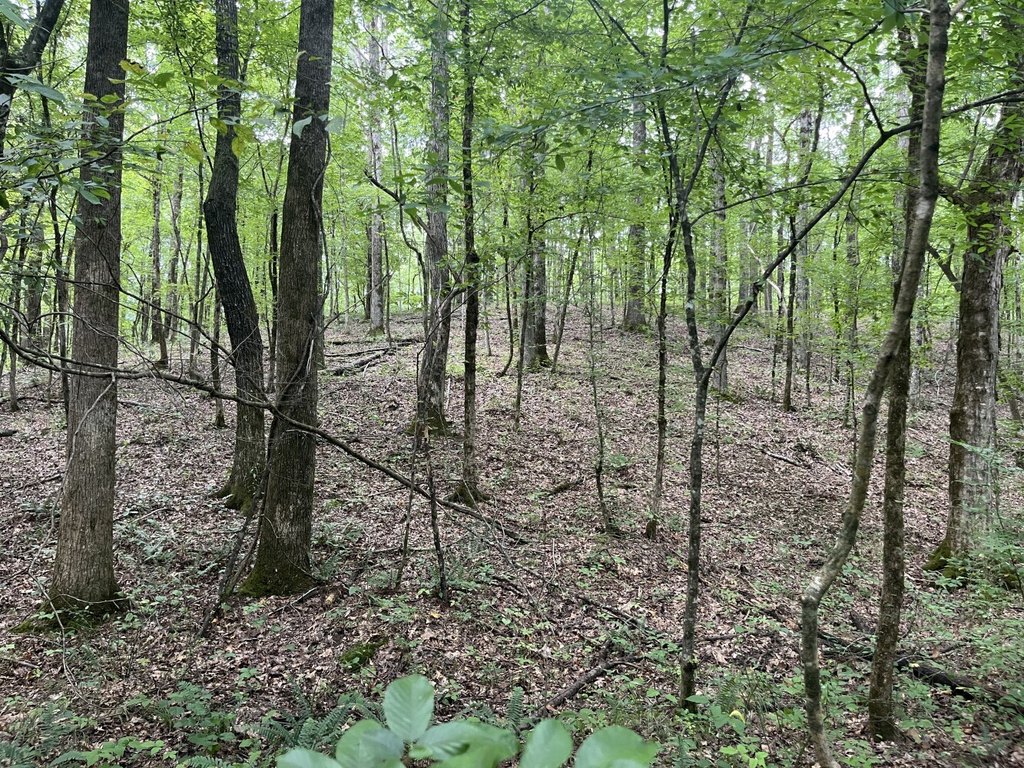 Picture 27
