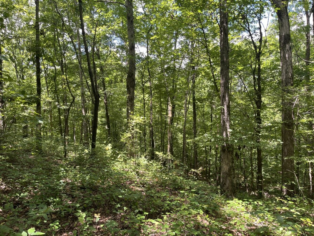Picture 17