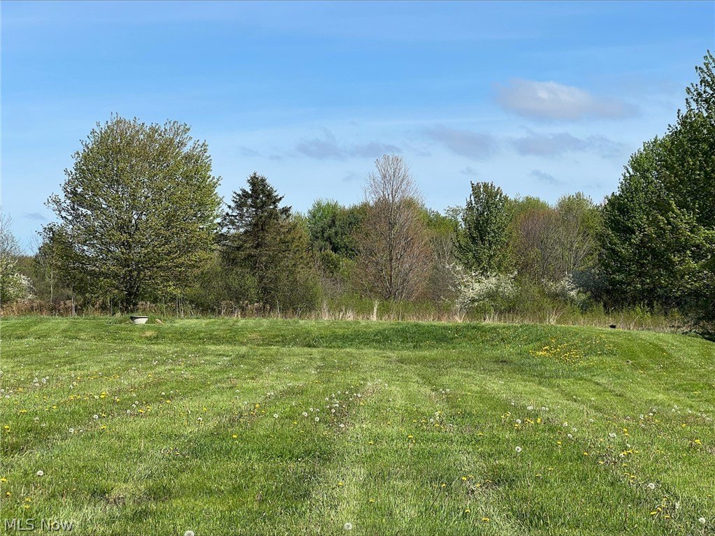 Picture 3