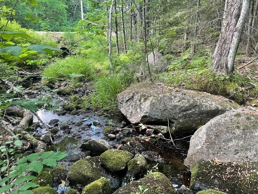 Wooded Lot with Brook Frontage