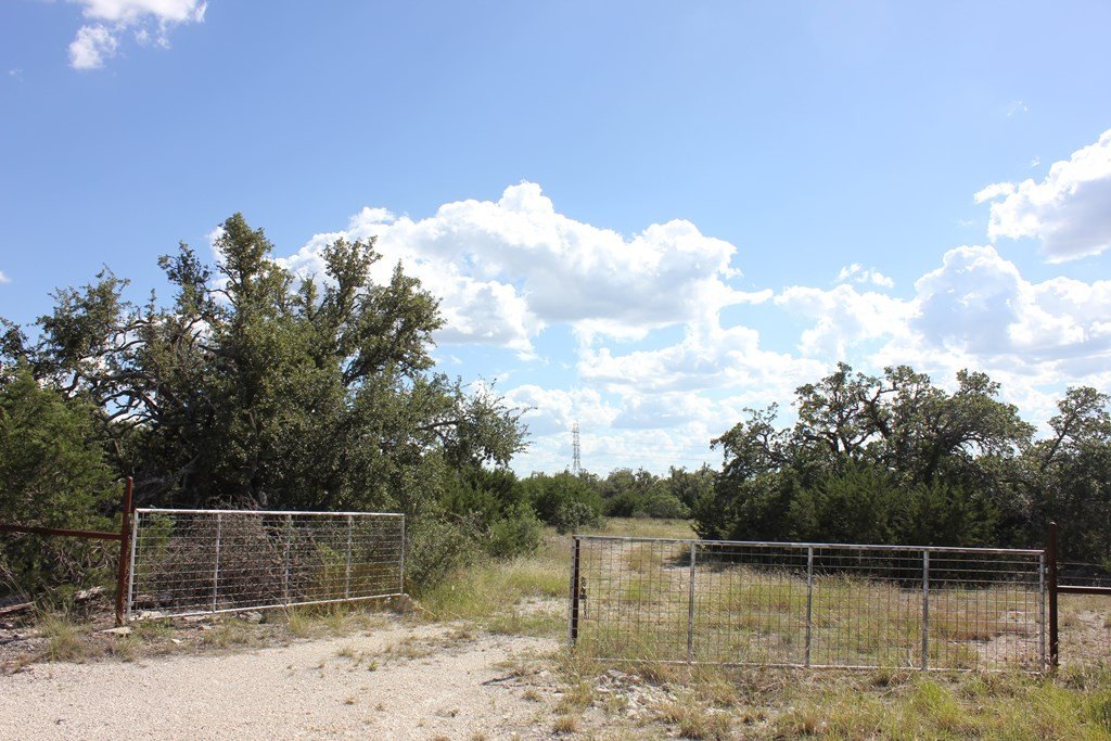 Picture 19