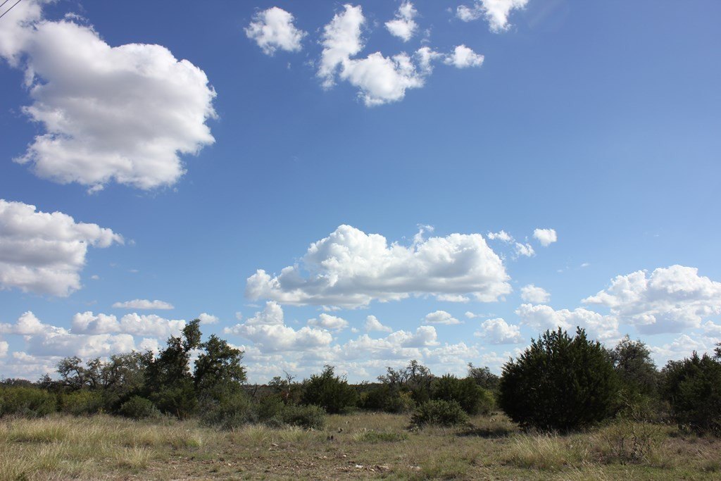 Picture 15