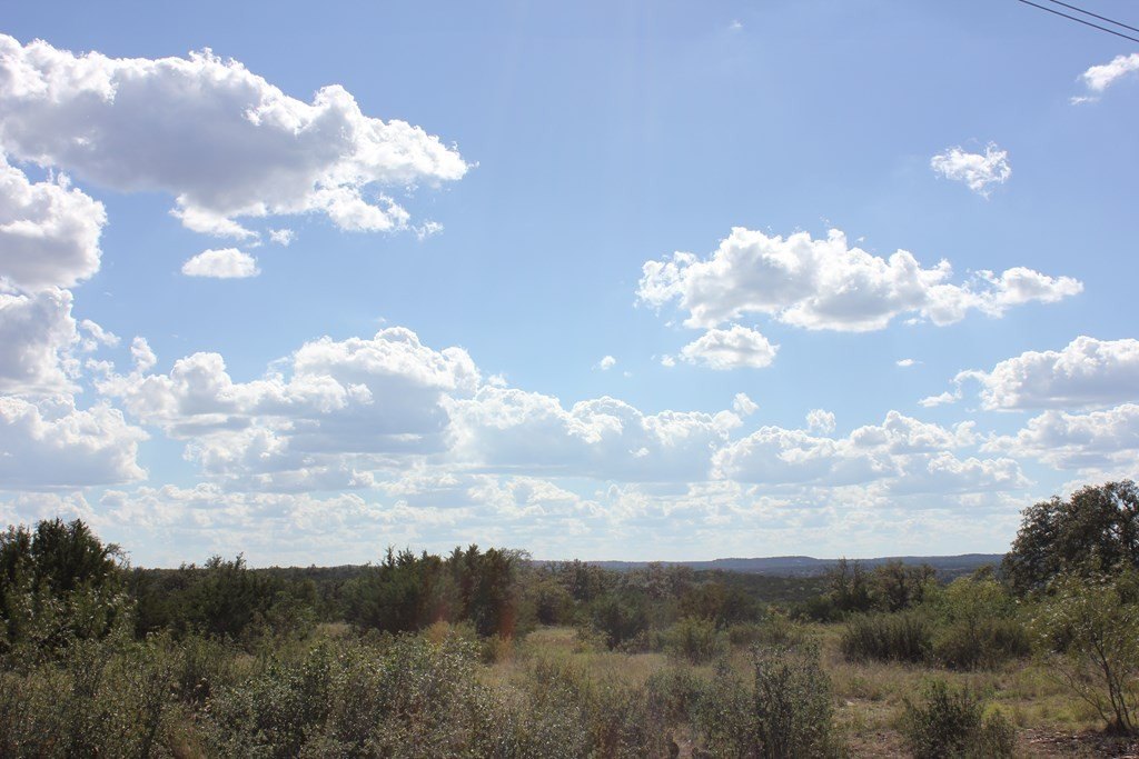 Picture 13