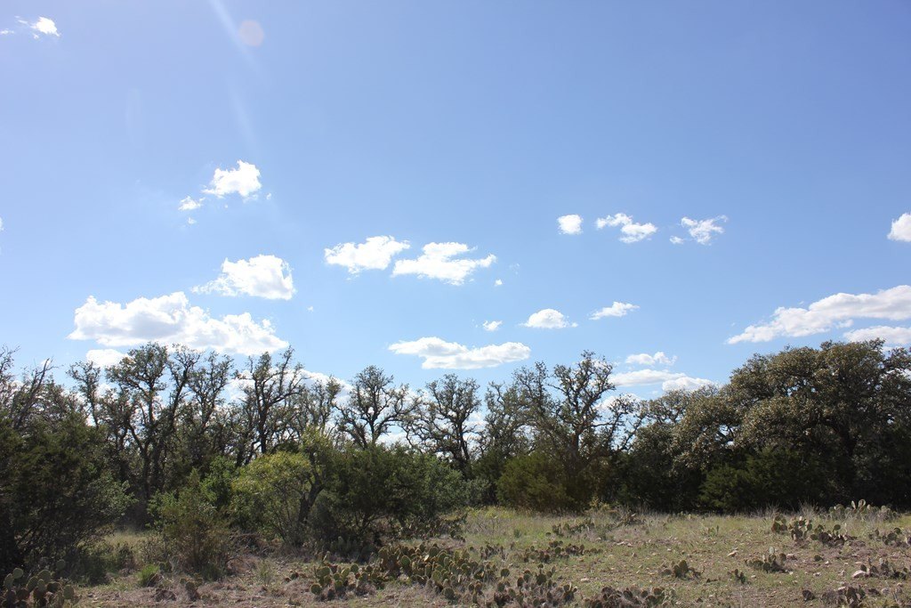 Picture 9