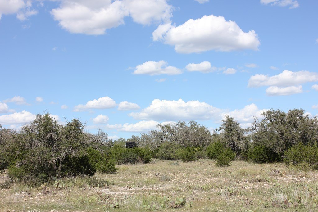 Picture 7