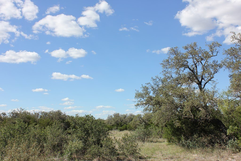 Picture 18